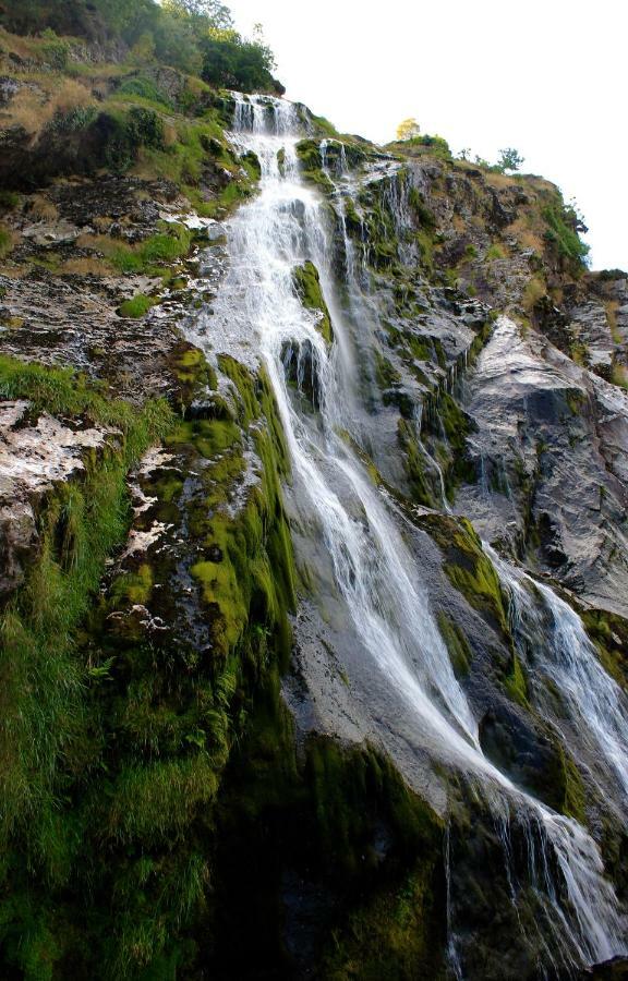 The Nook County Dublin Guest House Luaran gambar